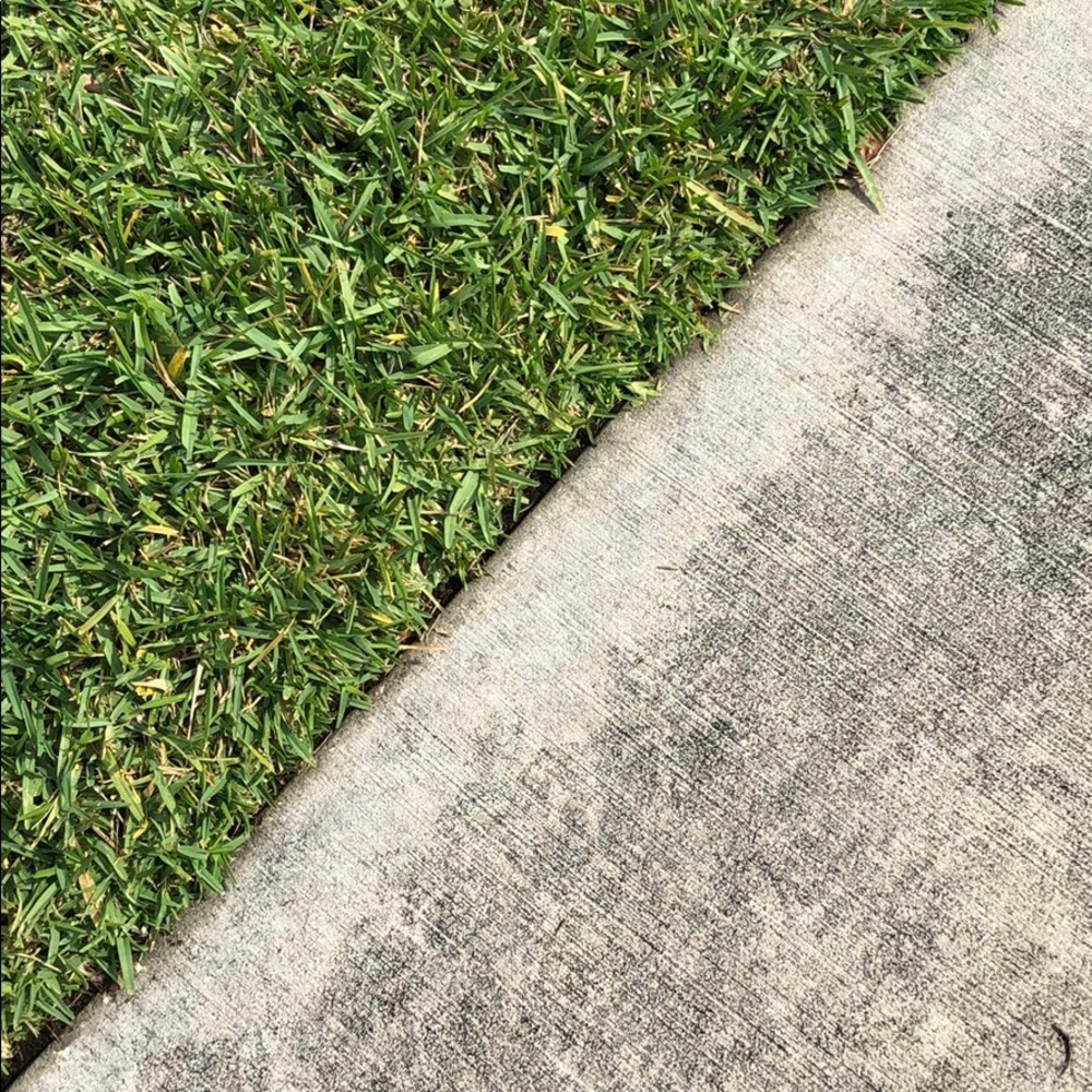 Meet your Posher, Yolanda